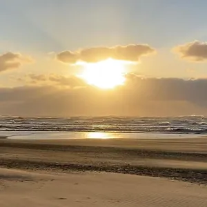 https://appartement-de-zeemeermin.zandvoort-hotels.com